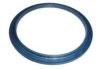 BPW 0256645700 Shaft Oil Seal